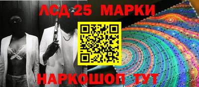 крисы Кандалакша
