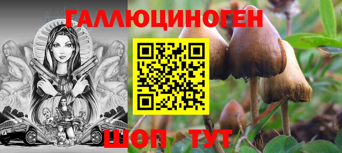 Псилоцибиновые грибы Magic Shrooms Майский