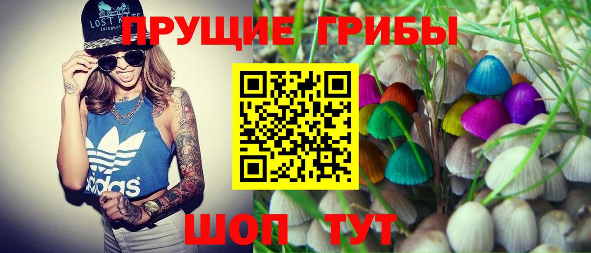 Майский  Галлюциногенные грибы мухоморы  Вход с VPN 